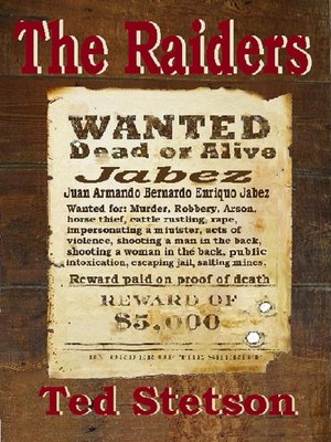 cover image of The Raiders